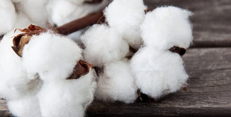 Bombaž ali organski bombaž? Razlika, ki jo občutiš!